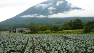 レンタカーから見る羊蹄山はサイコー！