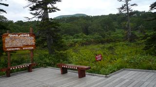 是非行ってみて！