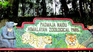 ダージリン動物園