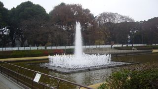 たのしめます！