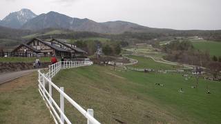 まきば公園  八ヶ岳