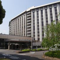 庭には緑豊かです