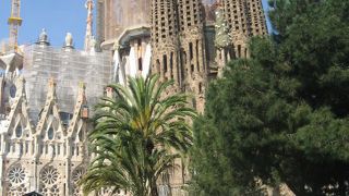 全体を写真に撮りたい時はここからがよい。