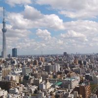 千葉側の客室から