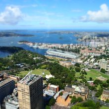 シドニータワーから見た遠景、湾に突き出ている緑地一体が庭園