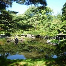 公園奥には池のある風景も。