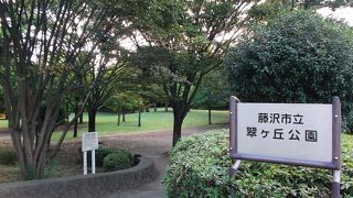 翠・・ミドリ・・・自然派の公園です。セキレイに会えるかも