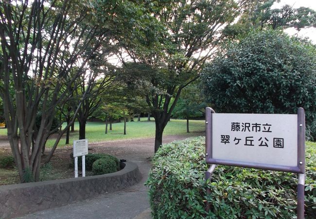 翠・・ミドリ・・・自然派の公園です。セキレイに会えるかも