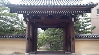 市道を渡るのを忘れないように