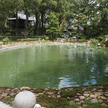無染池