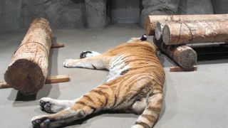 市街地にあるのに、予想より良かった！