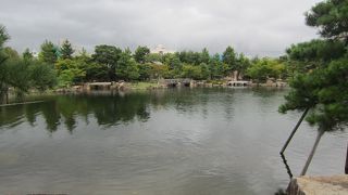 すいているのがよい・・・