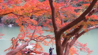 錦秋の嵐山。どこを見ても、どこに行っても美しい。