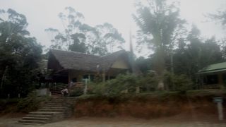 インドリ遭遇率が高い