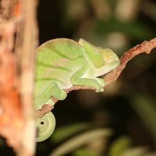 ミチンジュ公園