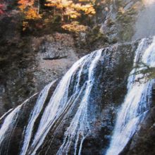 紅葉も重なって