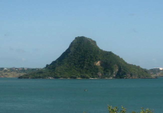 いつも見守られている？