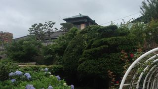 庭もきれいでした