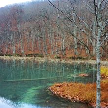 草紅葉が美しい♪