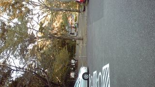 緑豊かな森林浴が出来ます