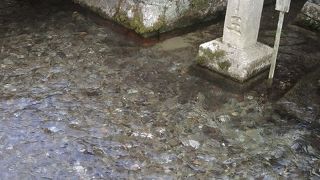 平安時代の僧が開いたという湧水場