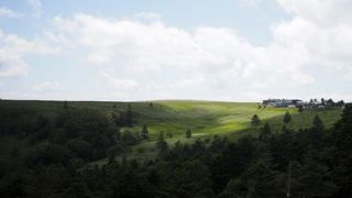 無料駐車場がありがたい