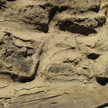 よく見ると、日本でも多い「土壁」。