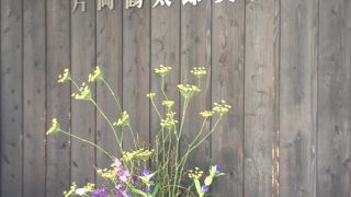 見ごたえあります