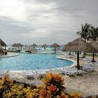 きれいなプール