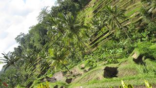 ウブドから近いのが利点
