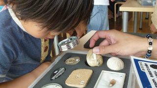 いろいろ体験できる子供の遊び場