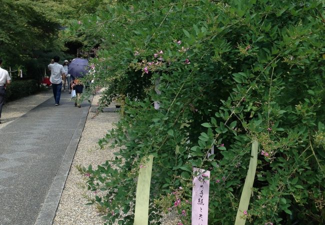 流石！京都な萩まつり