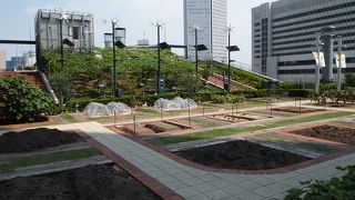 屋上の庭園程だと思うのですが