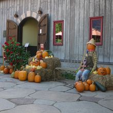 オータムフェスタの時期は、かぼちゃが飾ってあります。