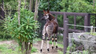ごみごみしてない配置がいい♪