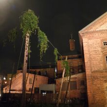 ホップの刈り取られたあと