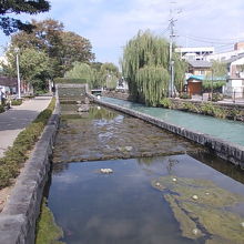 遊歩道とうまく同化させている光景が随所で見られました