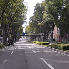 代表的なけやき並木の一例