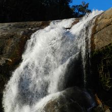 流身をズームで