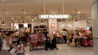 ペットもここまでくれば人間様