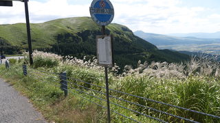 バスと徒歩でも十分行ける絶景ポイント