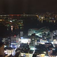 ホテルの裏にある釜山タワーからの眺望です