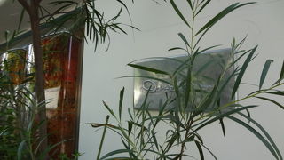 人気のスイーツ店