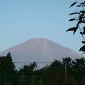富士霊園墓参に最適。食堂から富士山がよく見えました