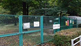 登録先所在地はマンションでしたが公園あります。