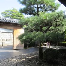 館内、屋外スペースはこんな感じです