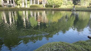 自然を生かした庭園