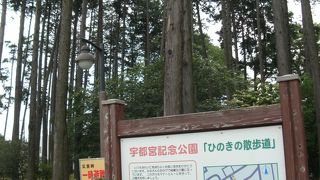 みどりの森や仲よし広場はどうでしょう・・