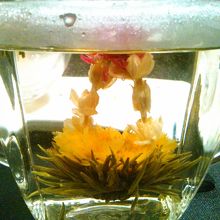 中国茶の中で花開く・・・なんとか？茶。