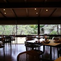 朝食会場　お庭の松が立派です